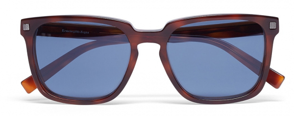 Ermenegildo Zegna EZ 0119 53V