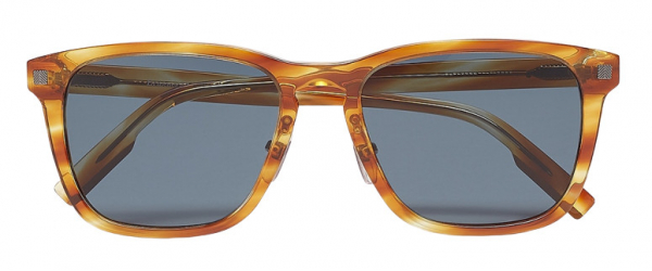 Ermenegildo Zegna EZ 0161-D 53V