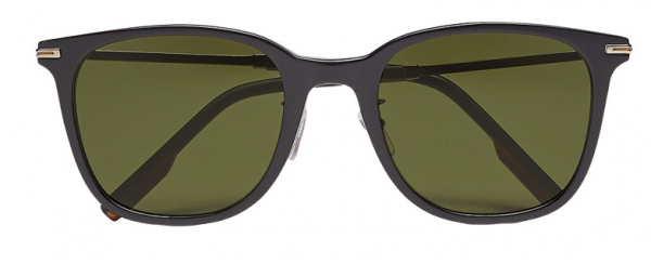 Ermenegildo Zegna EZ 0166-D 01N