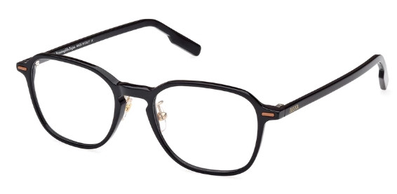 Ermenegildo Zegna EZ 5255-H 001