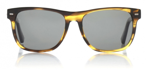 Ermenegildo Zegna EZ0020 47D Polarized