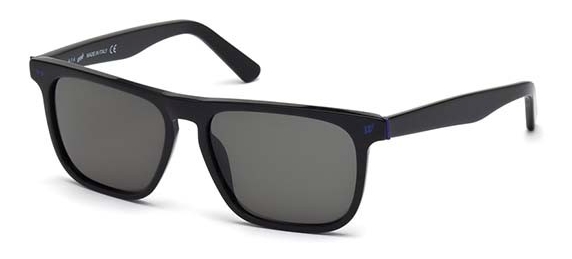 Web Eyewear WE 0122 01A