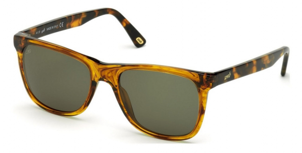Web Eyewear WE 0279 56N
