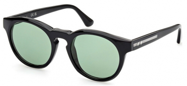 Web Eyewear WE 0324 05N