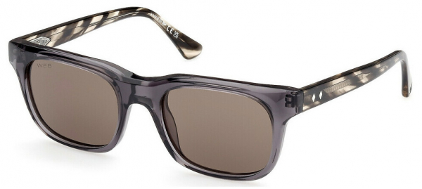 Web Eyewear WE 0336 20E