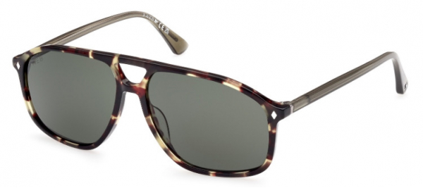Web Eyewear WE 0338 55N