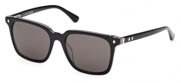 Web Eyewear WE 0348 01A