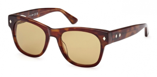 Web Eyewear WE 0353 56E