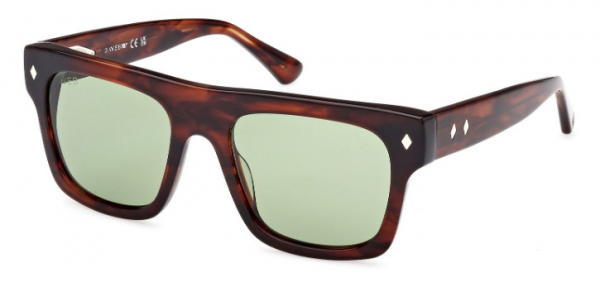 Web Eyewear WE 0354 56N