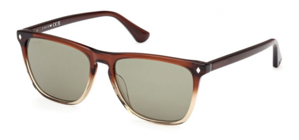 Web Eyewear WE 0363 50N