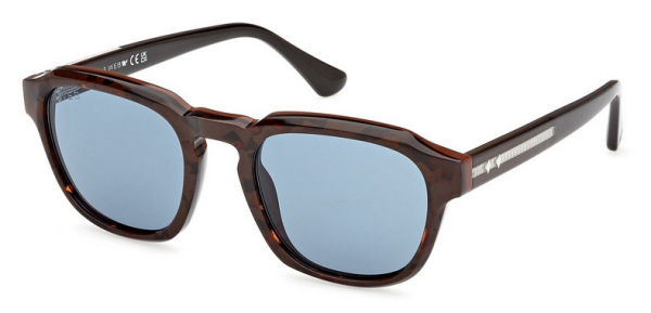 Web Eyewear WE 0370 56V