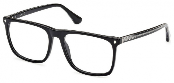 Web Eyewear WE 5389 005