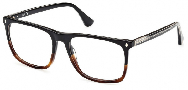 Web Eyewear WE 5389 056