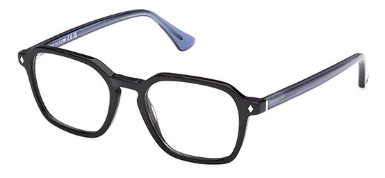 Web Eyewear WE 5428 005