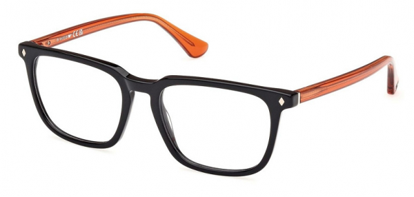 Web Eyewear WE 5430 005