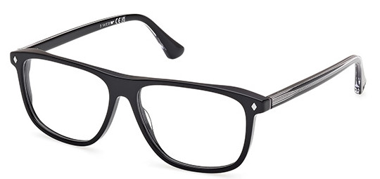 Web Eyewear WE 5456 005