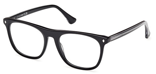 Web Eyewear WE 5462 005