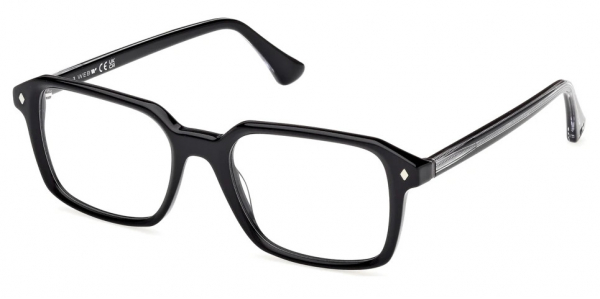 Web Eyewear WE 5463 005
